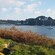 Una bahía llena de botes pesqueros y de recreo
